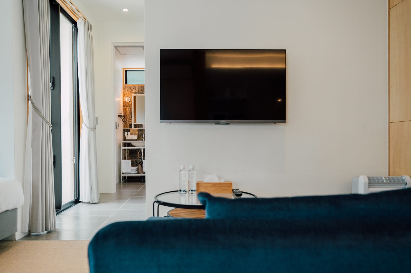 Bise ROOM A テレビと洗面室への動線